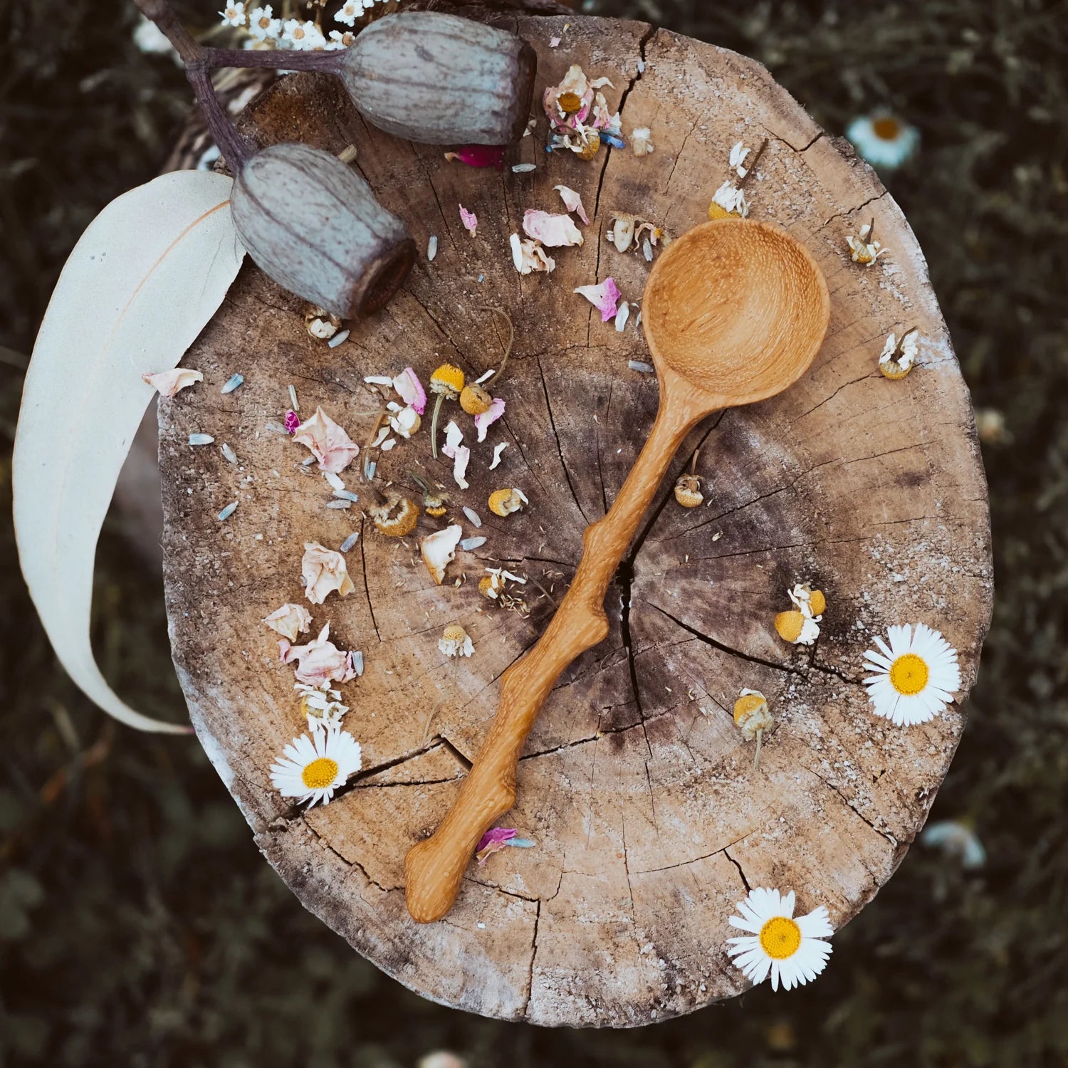 Wild Mountain Child Branch Spoon - Cheeky Junior