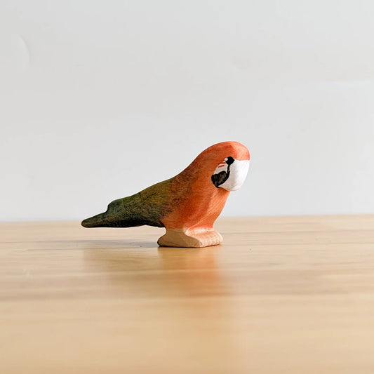 Nom Handcrafted Macaw - Cheeky Junior