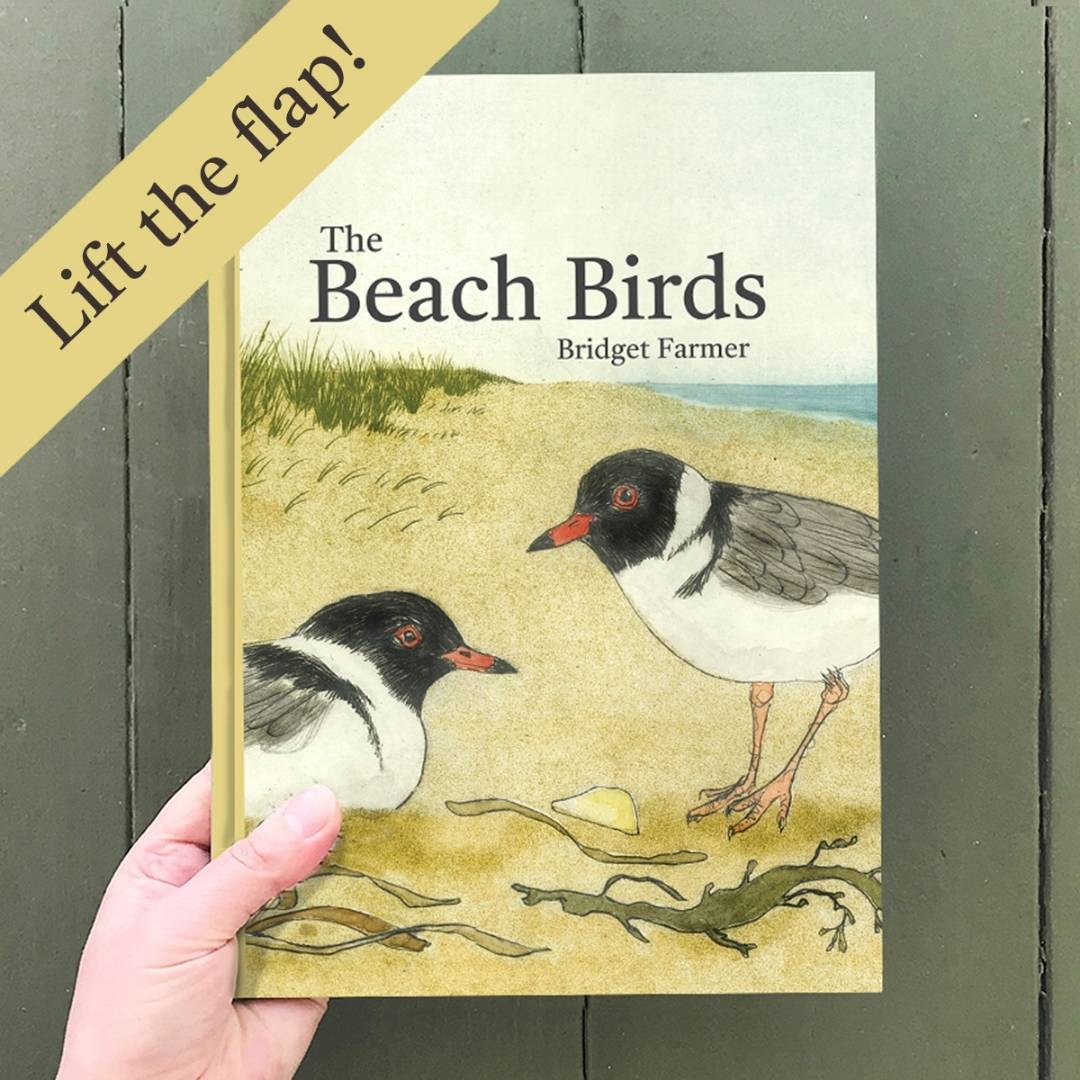 Bridget Farmer - The Beach Birds