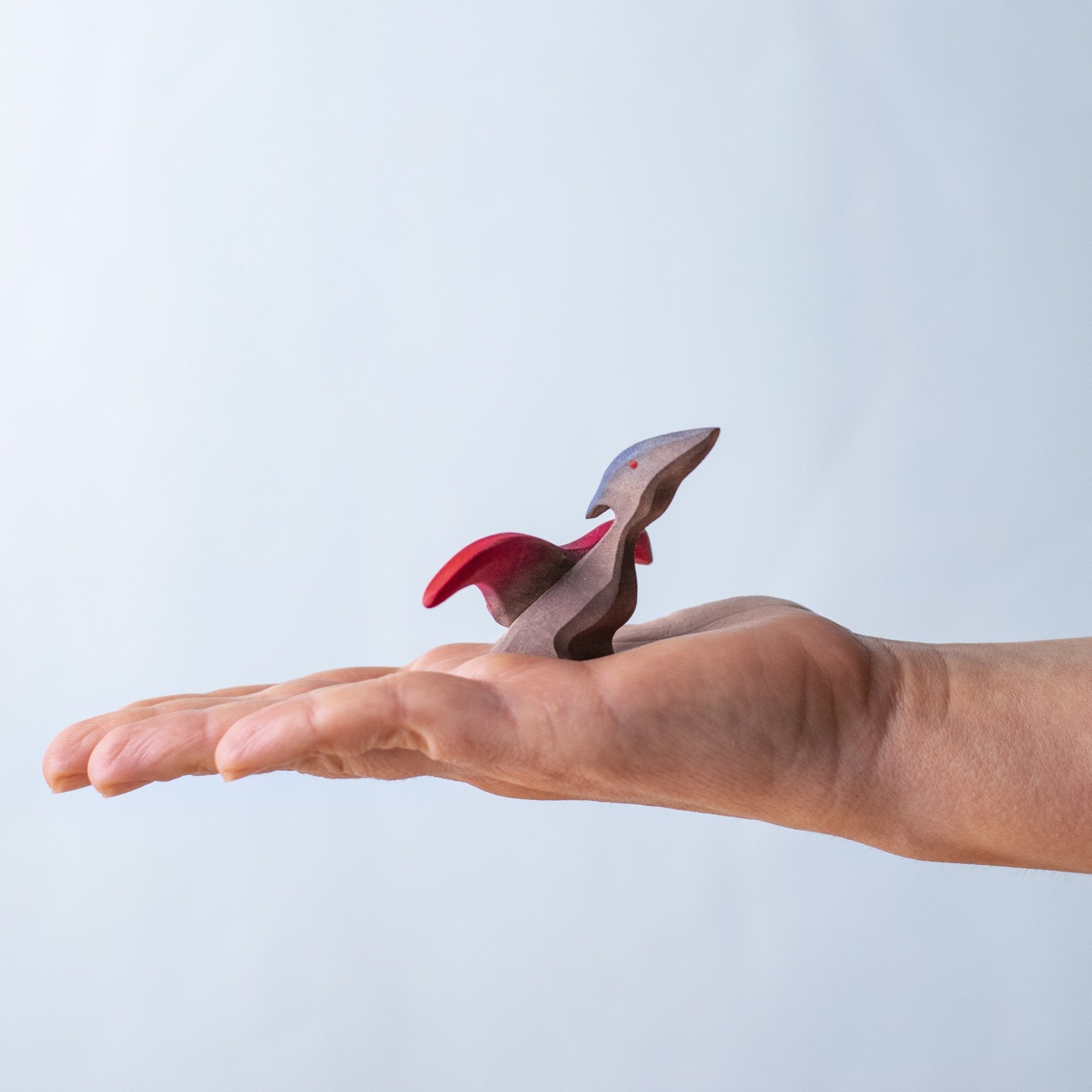 Bumbu Toys - Pteranodon Baby