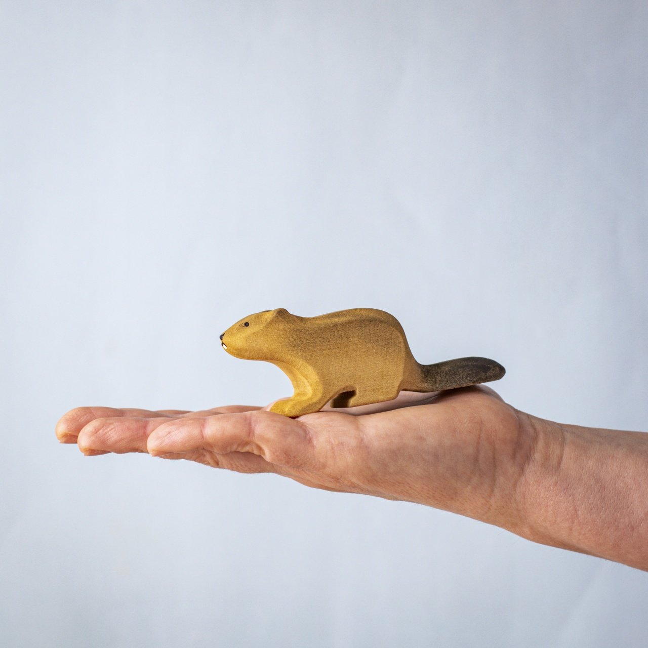 Bumbu Toys - Beaver