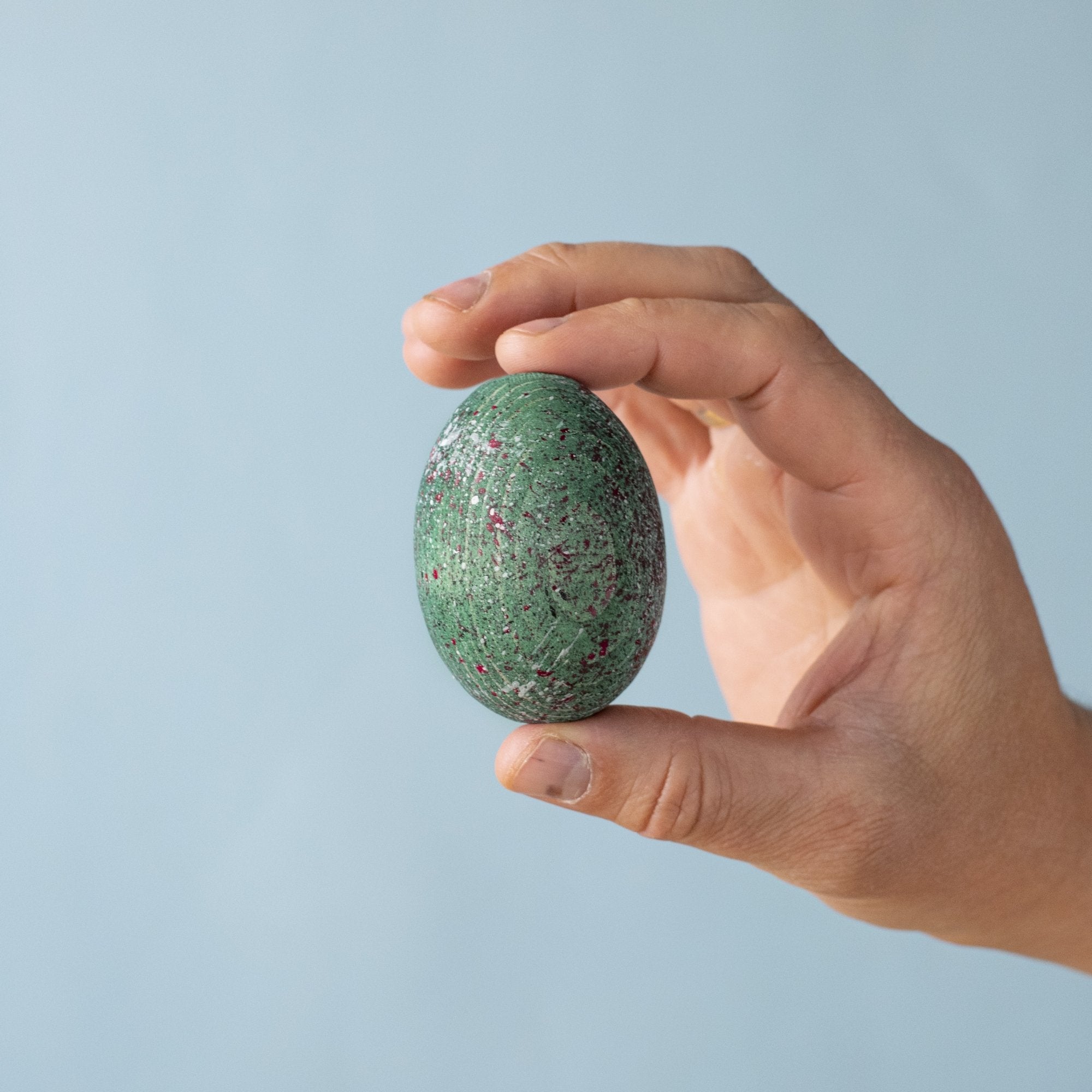 Bumbu Toys - Carnotaurus Egg