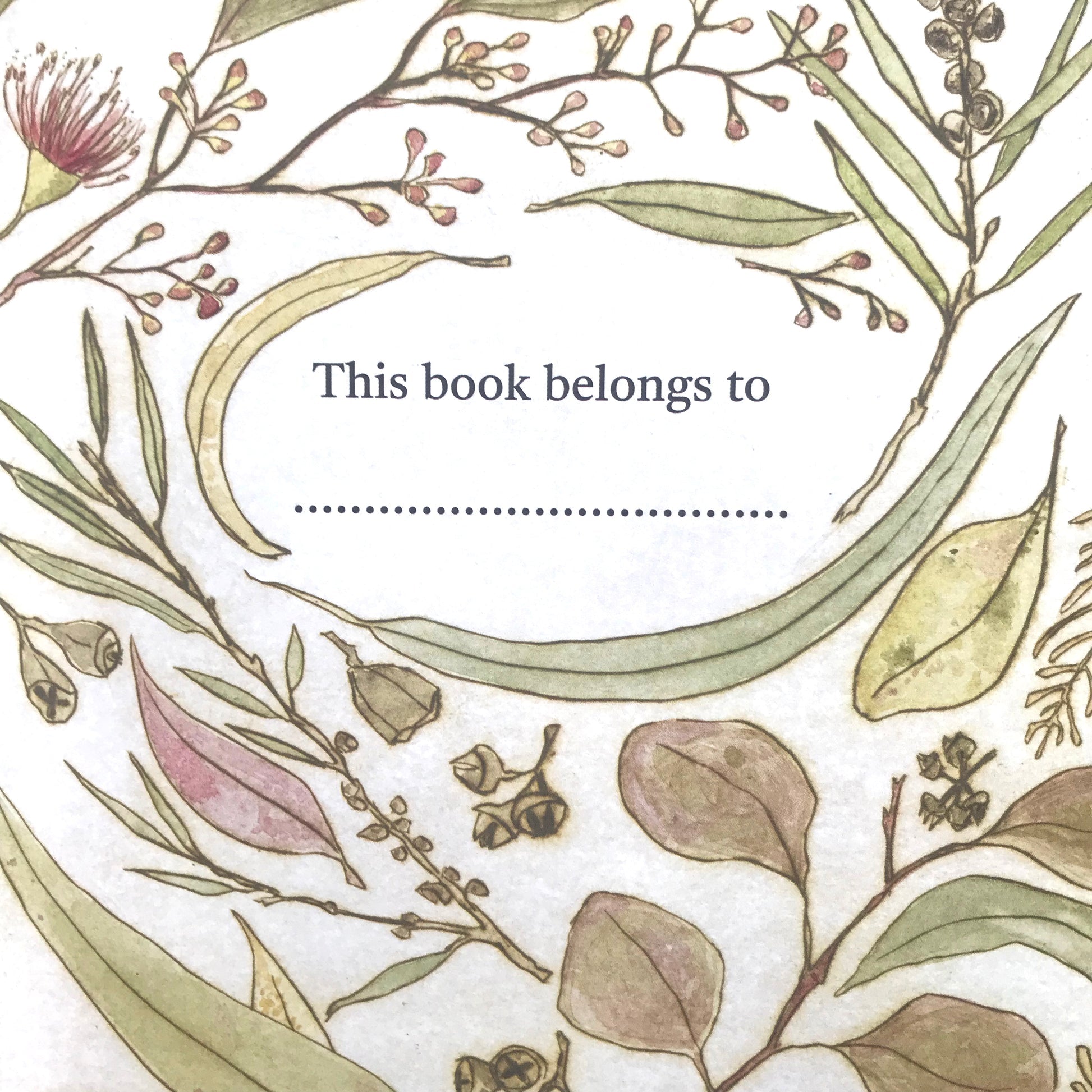 Bridget Farmer - The Bush Birds