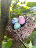 Load image into Gallery viewer, Beadie Bug Play Birdie Bird Nest
