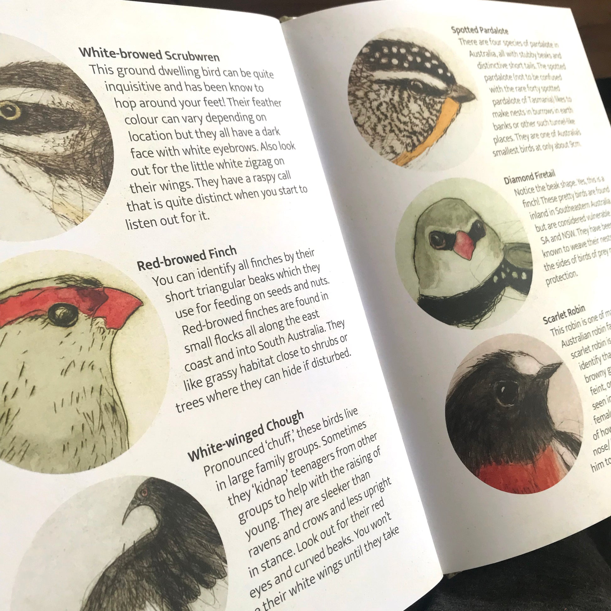 Bridget Farmer - The Bush Birds