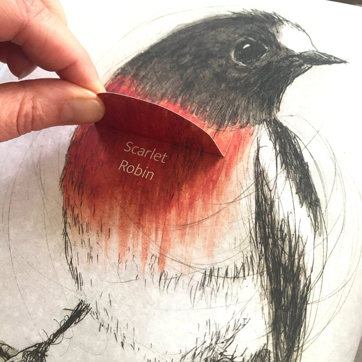 Bridget Farmer - The Bush Birds