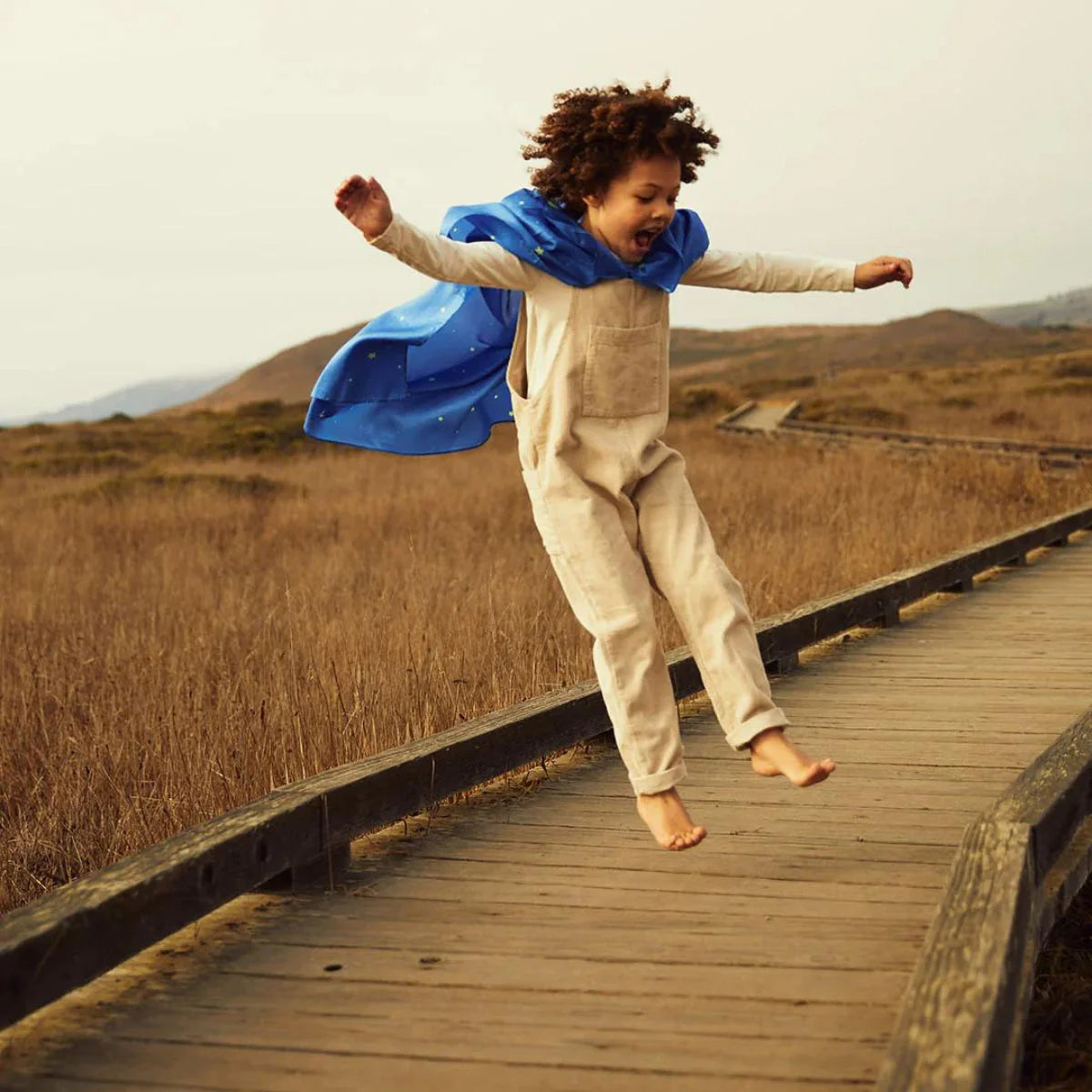 Sarah's Silks - Silks Cape Starry Night