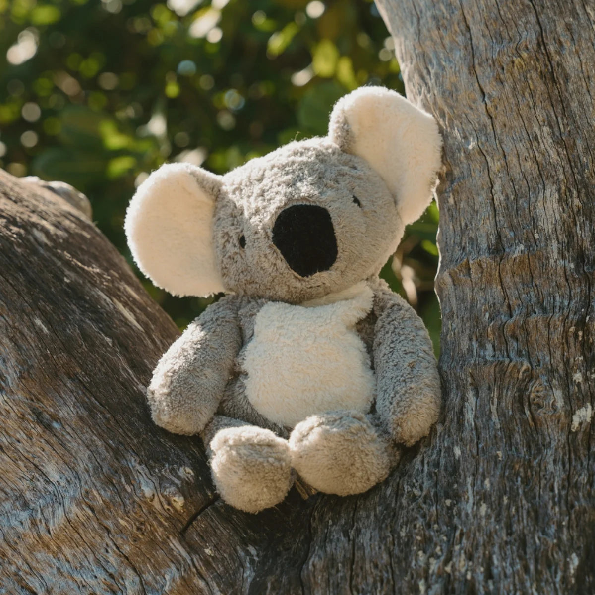 Senger - Cuddly Animal Koala with Removable Heat/Cool Pack